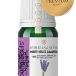 Young Souls Aromatherapy Hybrid Lavender Essential Oil Hibrit Melez Lavanta Uçucu Yağ 10 ml